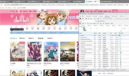 哔哩哔哩 黑料索引,黑料索引背后的真相与争议