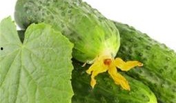 今日吃瓜热门大瓜必看大瓜网红 52爆料吃瓜网,网红热门大瓜，今日吃瓜必看盘点